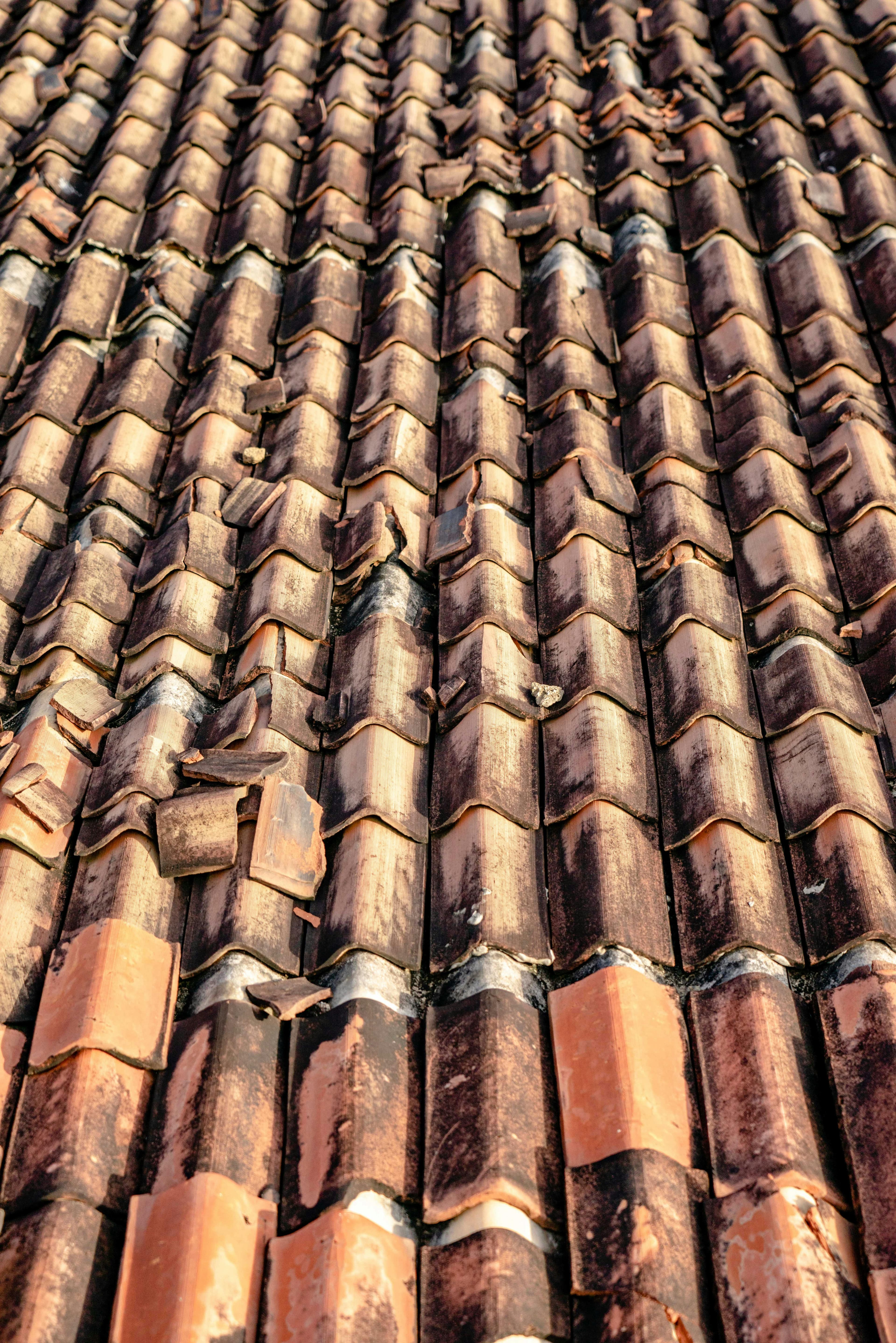 Broken roof tiles requiring repair